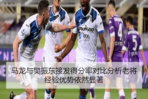 马龙与樊振东接发得分率对比分析老将经验优势依然显著